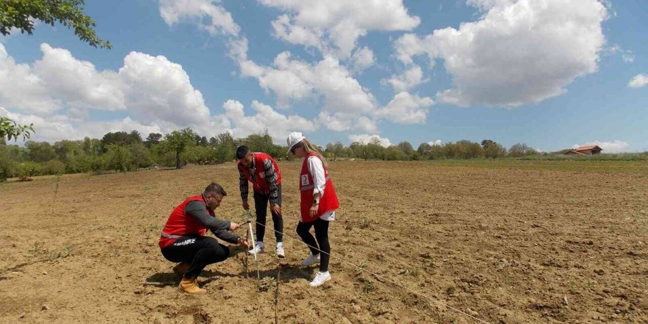 Pazarlar’a deneme amaçlı lavanta dikildi
