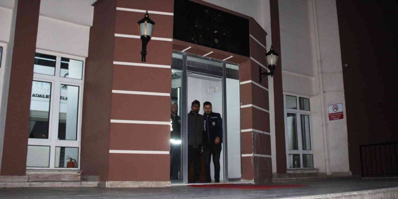 20 yaşında, 29 suç kaydı var