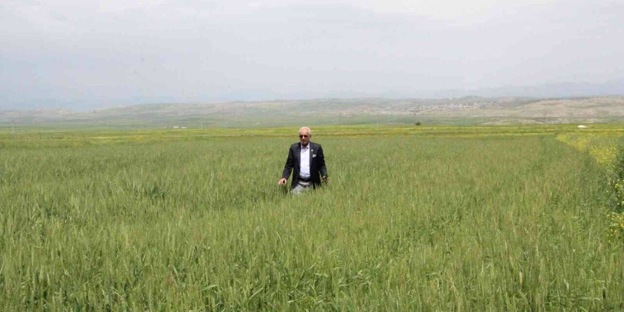 Siirtli çiftçiler rekor düzeyde ürün bekliyor