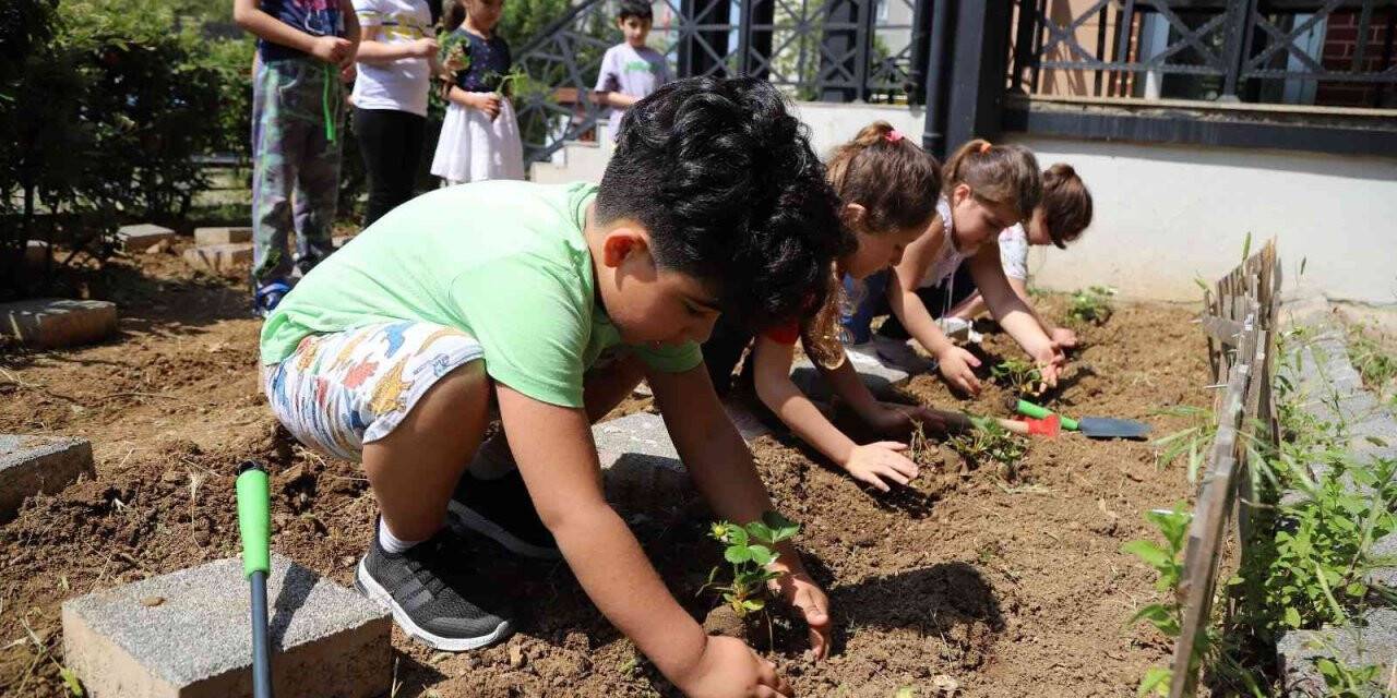 Kartal Belediyesi kreş öğrencilerinin ilk fideleri toprakla buluştu