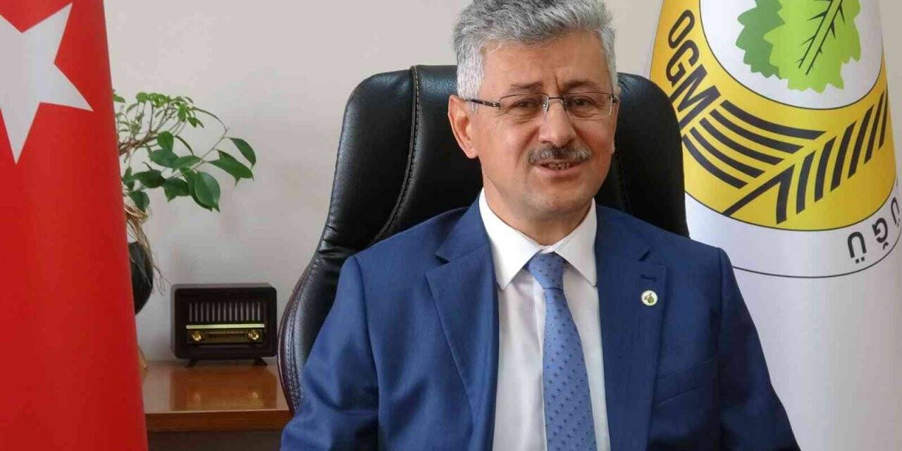 Bolu’da, yıllık ortalama 32 yangında 700 dönüm alan tahrip oluyor