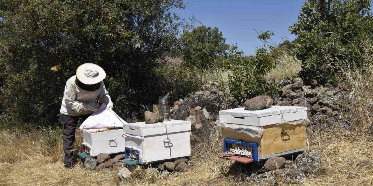 Bal üreticisi dağıtılan kovanlardan memnun