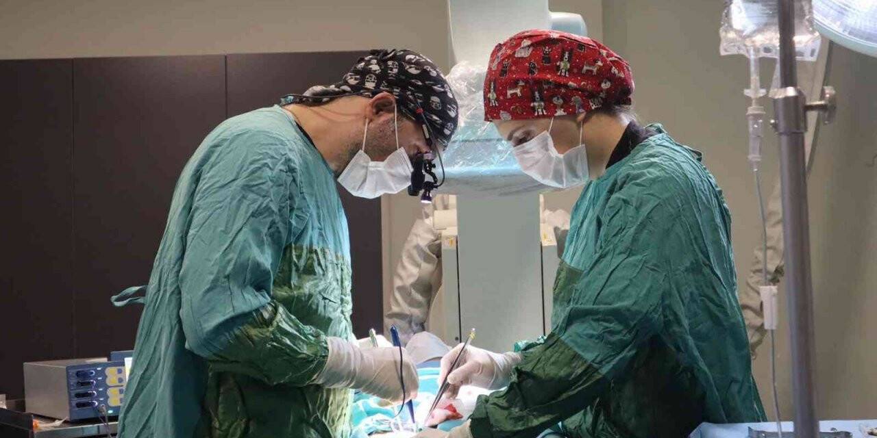Yalova’da ilk kez endovasküler anevrizma onarımı Özel Atakent Hastanesi’nde yapıldı