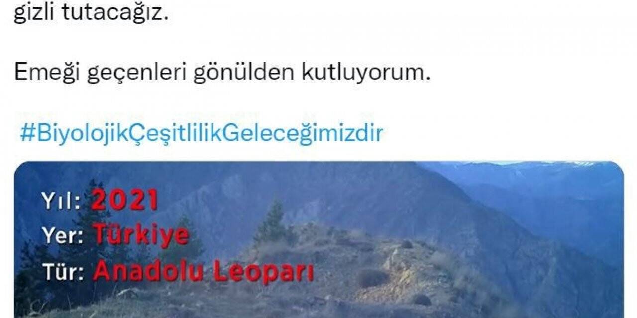 Bakan Kirişci’den ’Anadolu Leoparı’ paylaşımı