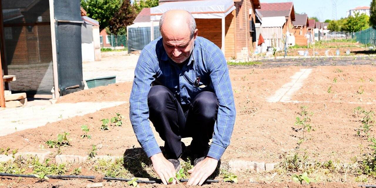 Tepebaşı’nda 10 bine yakın fide toprakla buluştu