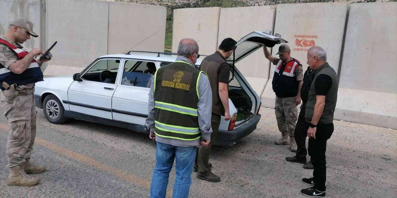 Siirt’te kaçak avlananlara yönelik denetim yapıldı