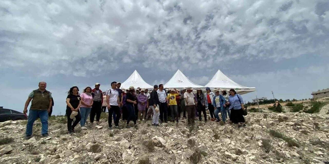 Tarımsal üretim alanında ilk ’’Tür Say’’ etkinliği yapıldı