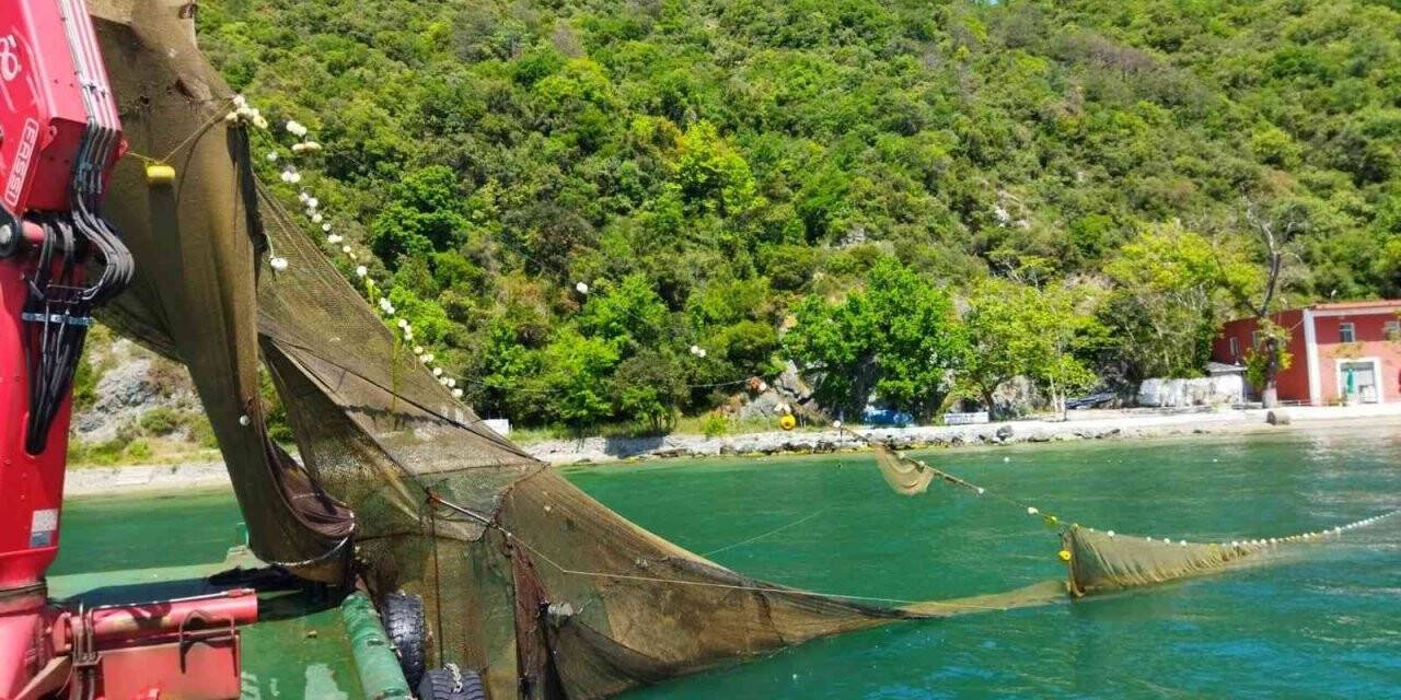İstanbul Boğazı’nda balık avlamak için kaçak dalyan kurdular