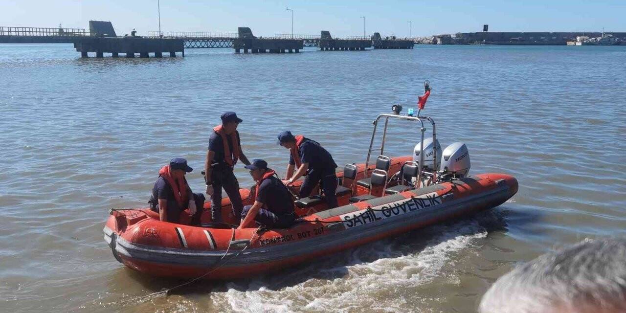 Kıyıya vuran yunus, ekipler tarafından kurtarıldı