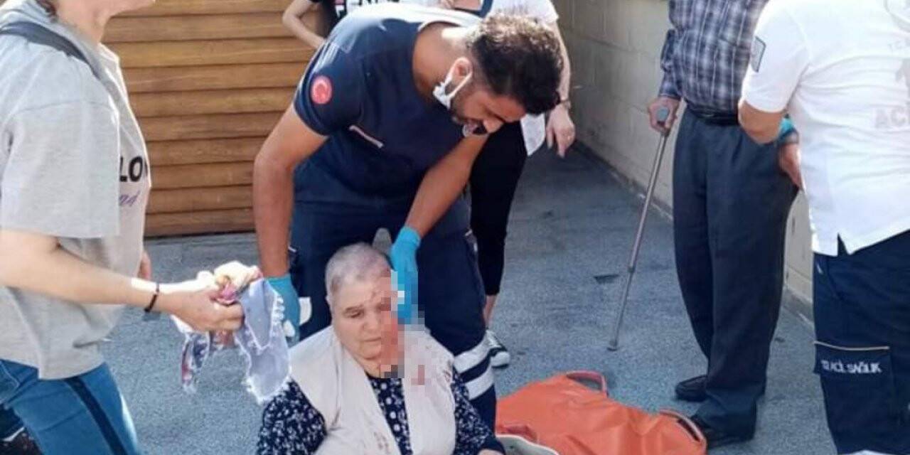 Dengesini kaybeden yaşlı çift yürüyen merdivenlerden yuvarlandı