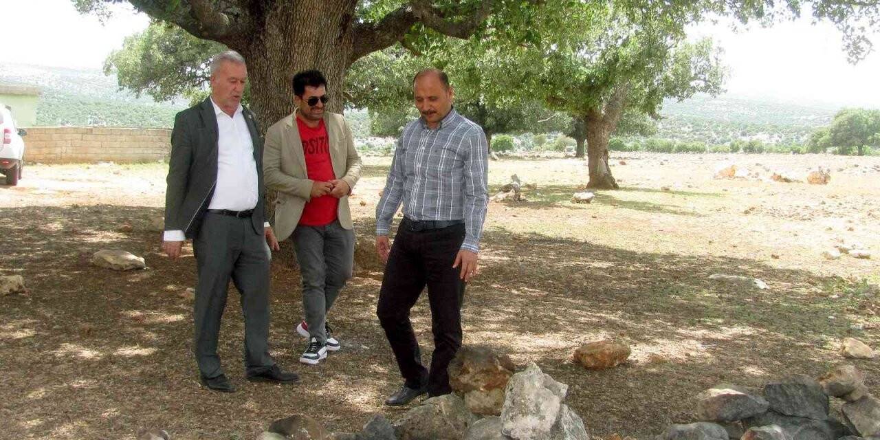 Araban’da ’’asırlık ağaç’’ seferberliği