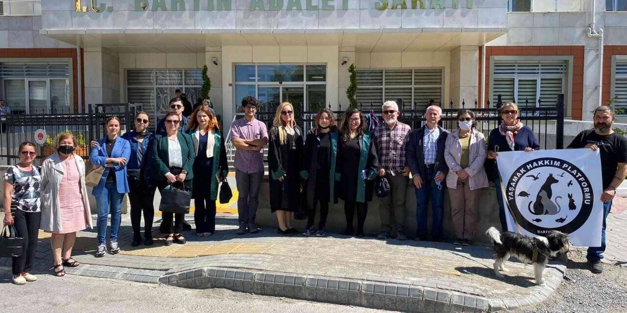 Bartın’da köpeğe cinsel istismar davasının 3. duruşması görüldü