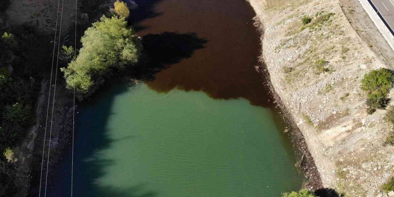 Torul Baraj Gölünde alg patlaması suyun rengini değiştirdi