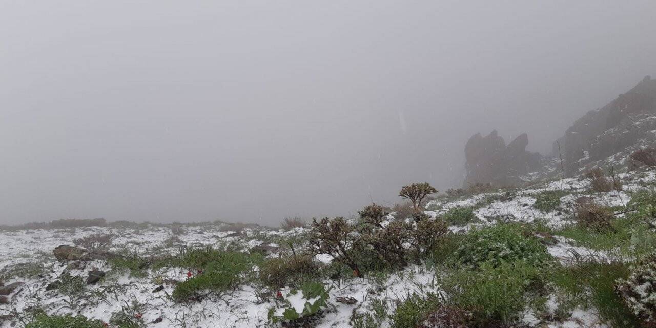 Mevsimler karıştı: Mayıs sonunda şaşkına çeviren görüntü