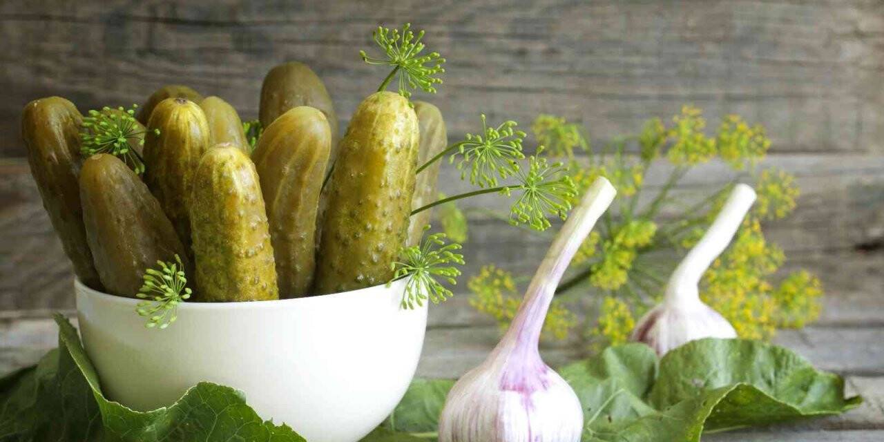 Kornişon ihracatında hedef, 200 milyon dolar