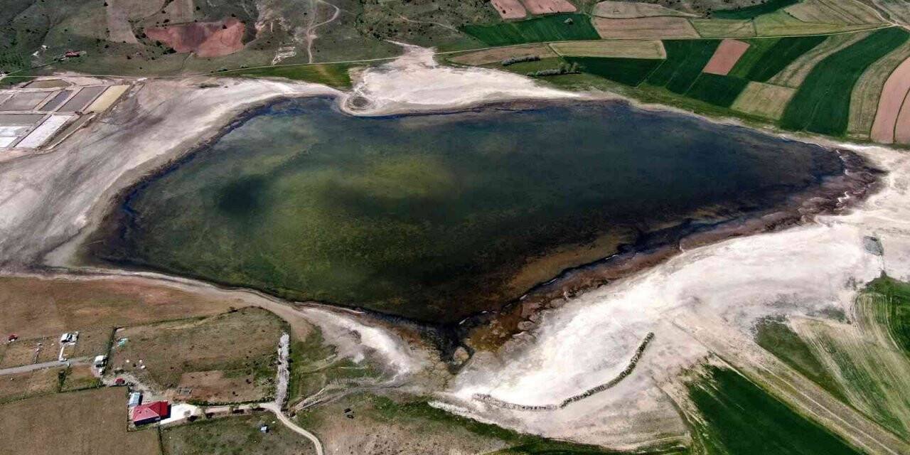 Çöle dönen kuş cenneti eski ihtişamına kavuştu