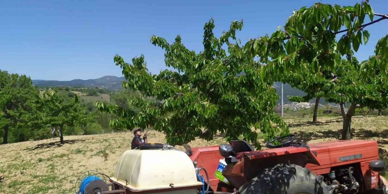 Meyve üreticilerine ilaçlama uyarısı