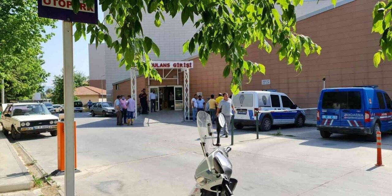 Dayı ve yeğenin zeytin ağacı kavgasında kan aktı