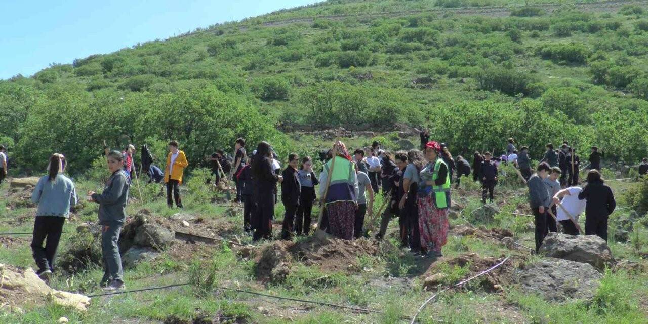 Tekden Koleji öğrencileri 280 fidanı toprakla buluşturdu