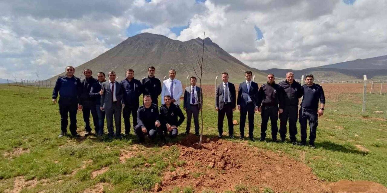 Ceza İnfaz Kurumunda fidan dikim etkinliği