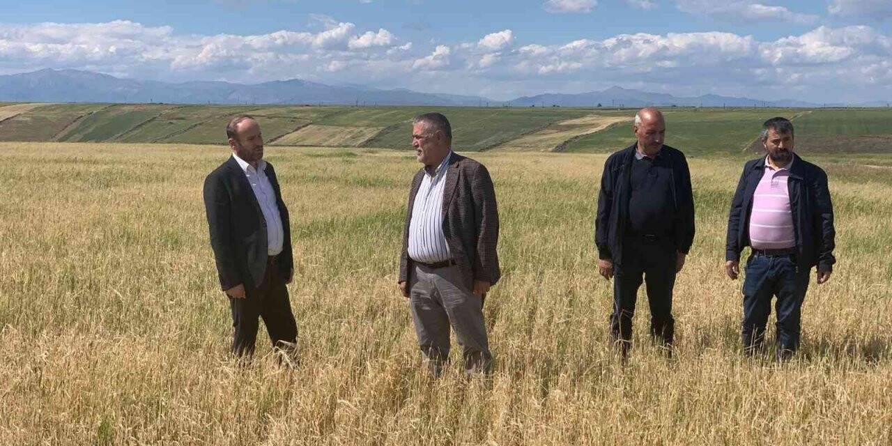 Kuraklık ve dolu nedeniyle zarar gören tarım arazilerinde hasar tespiti sürüyor