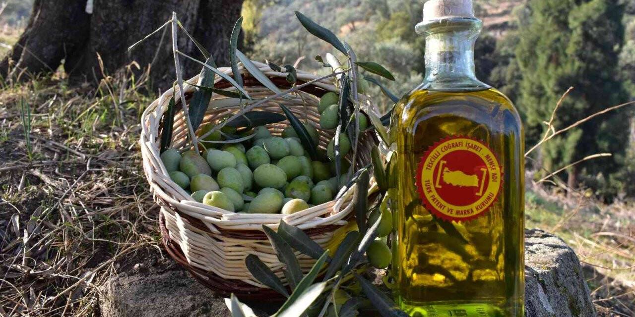 Aydın Ticaret Borsası Olivtech’te yer alacak