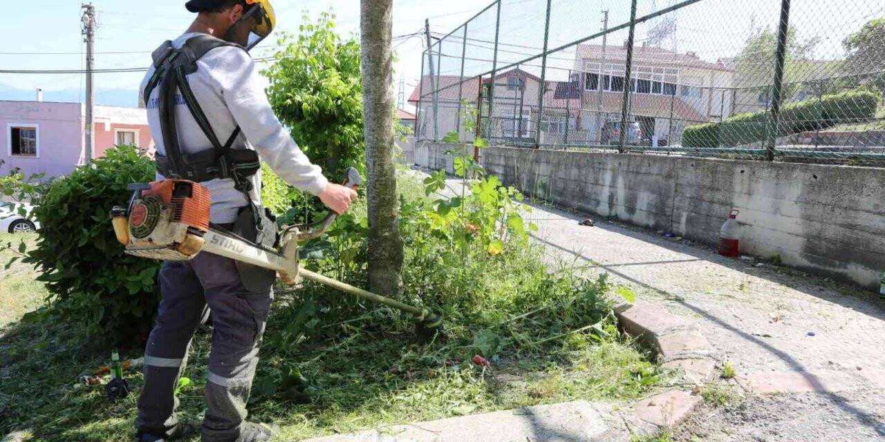 Serdivan yaza hazırlanıyor