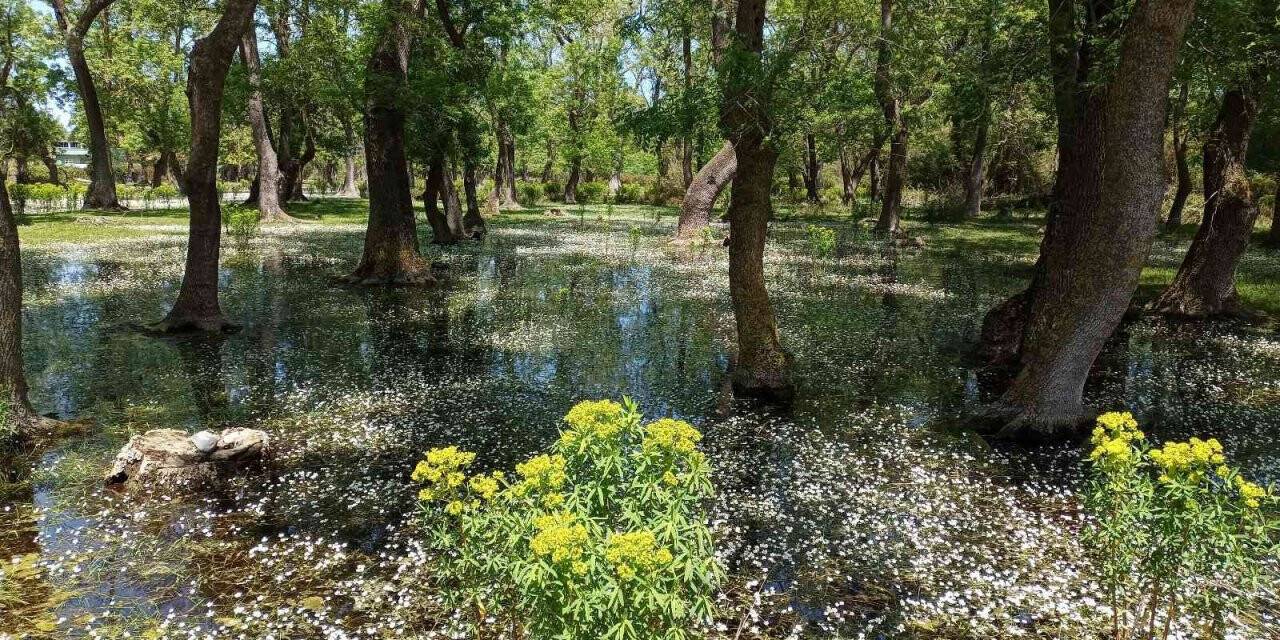 ’Dünya miras değil emanet’