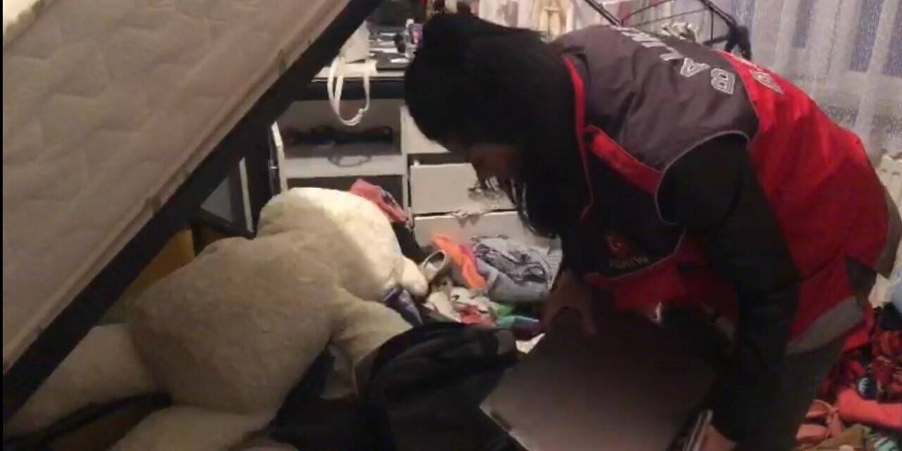 Araç kiralama operasyonunda ikinci dalga