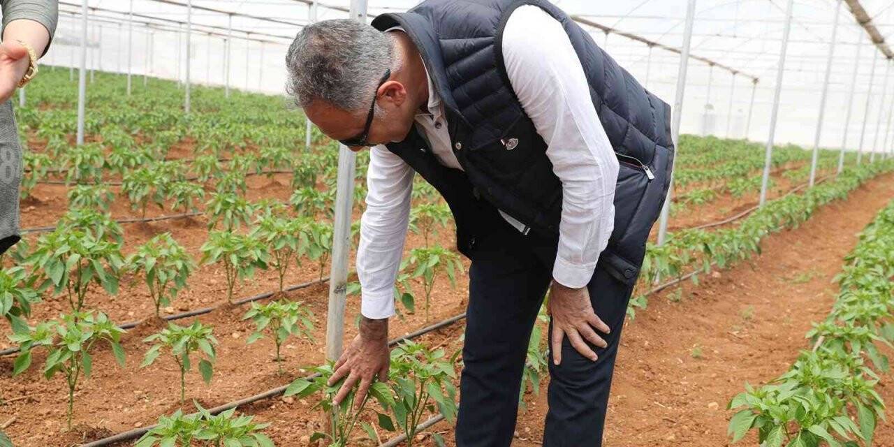 Eyyübiye seraları açılışa gün sayıyor