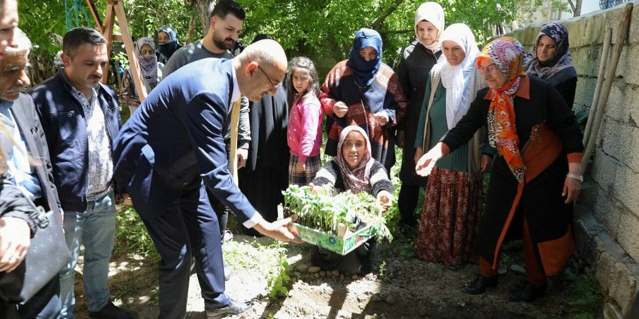 İpekyolu Belediyesinden sebze fidesi dağıtımı