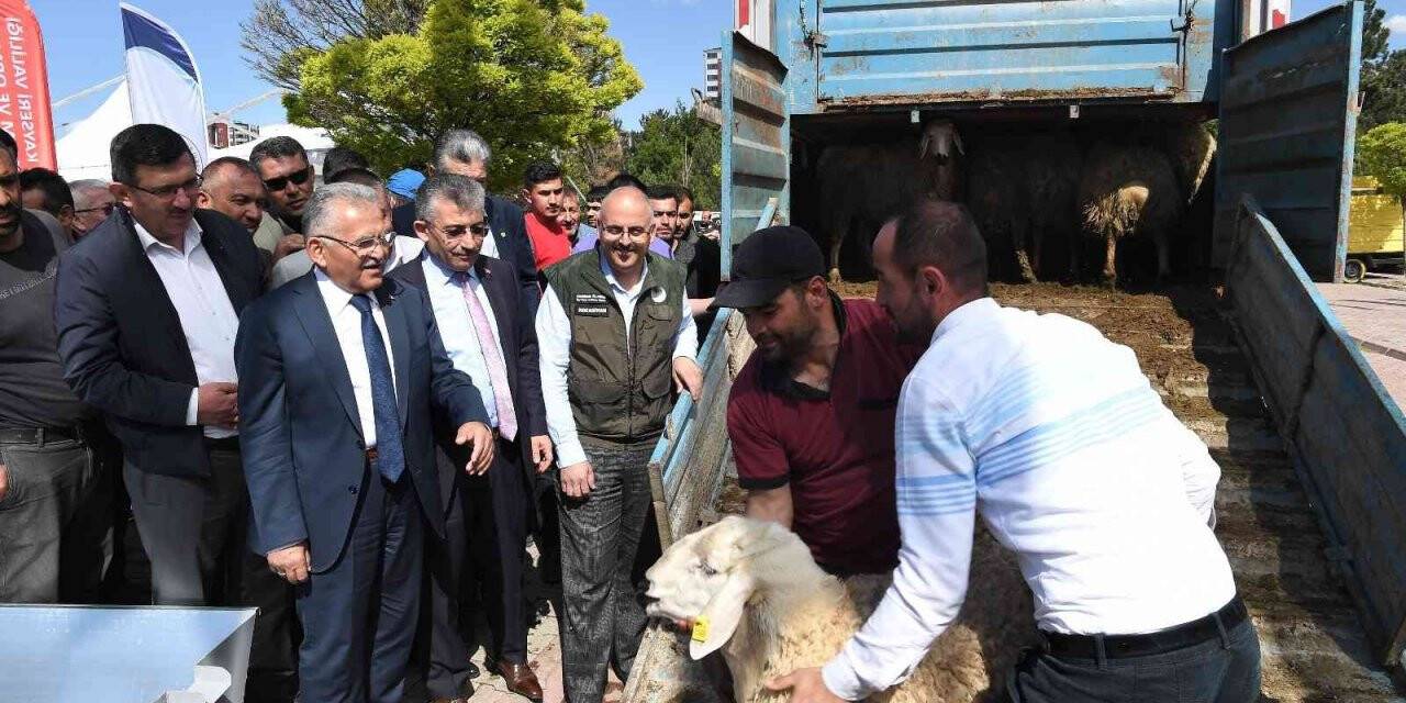 Başkan Büyükkılıç, 13 milyon TL’lik projede 3 bin 200 adet küçükbaş hayvan dağıttı
