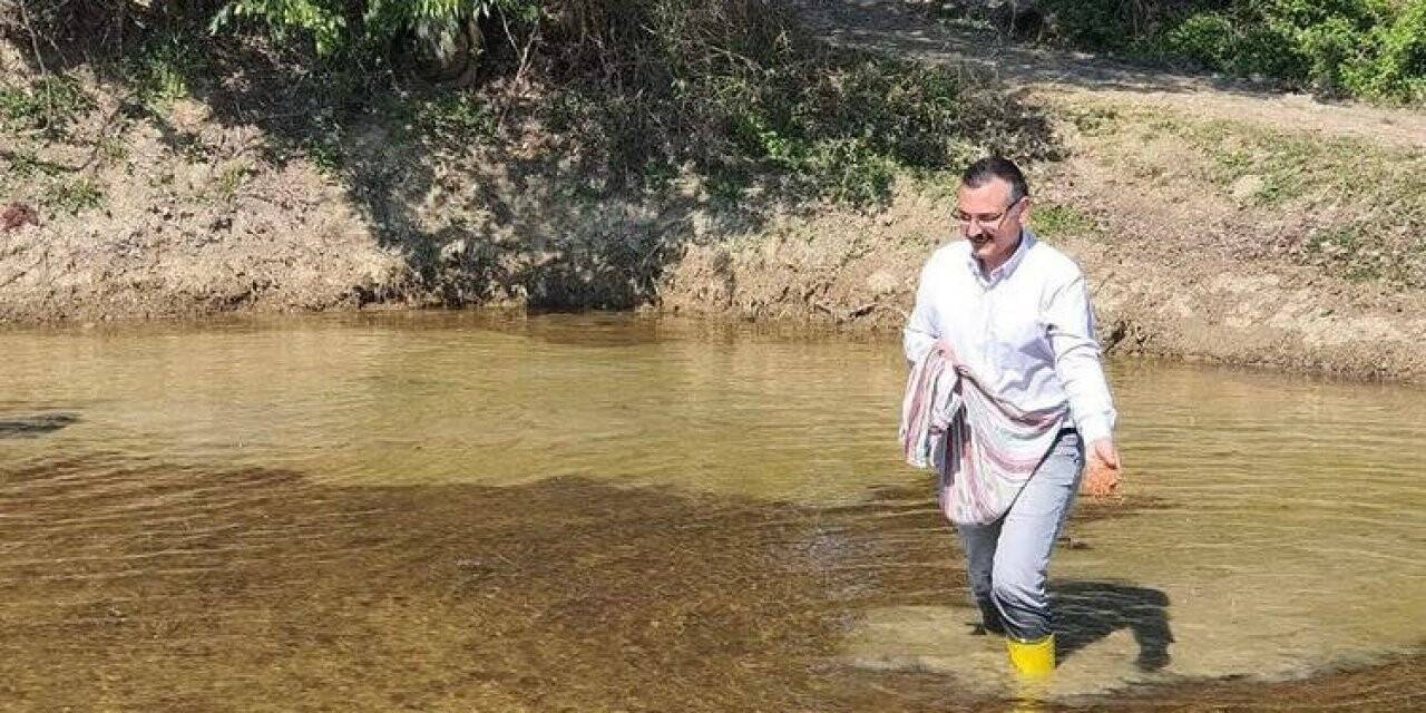 Kaymakam çizmeleri giydi, tarlada çeltik ekti