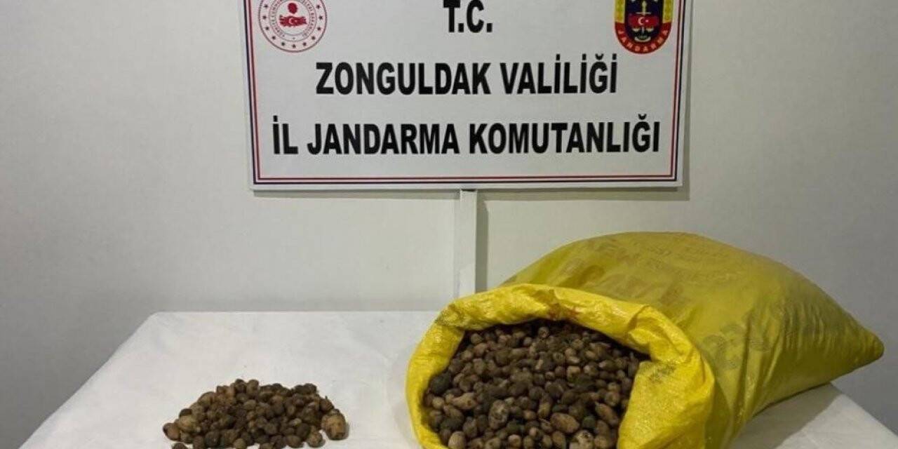 40 kilo salep soğanı için 218 bin TL ceza yediler
