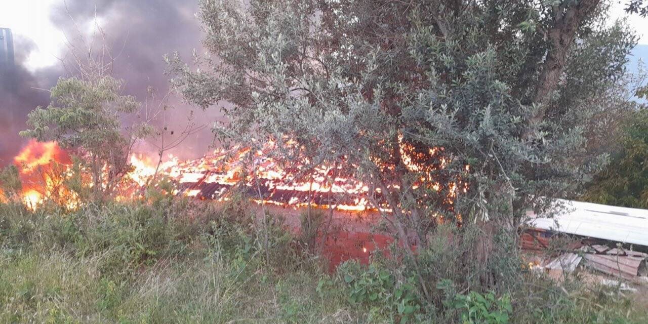 Hayvan barınağı alev aldı, yüzlerce tavuk telef oldu