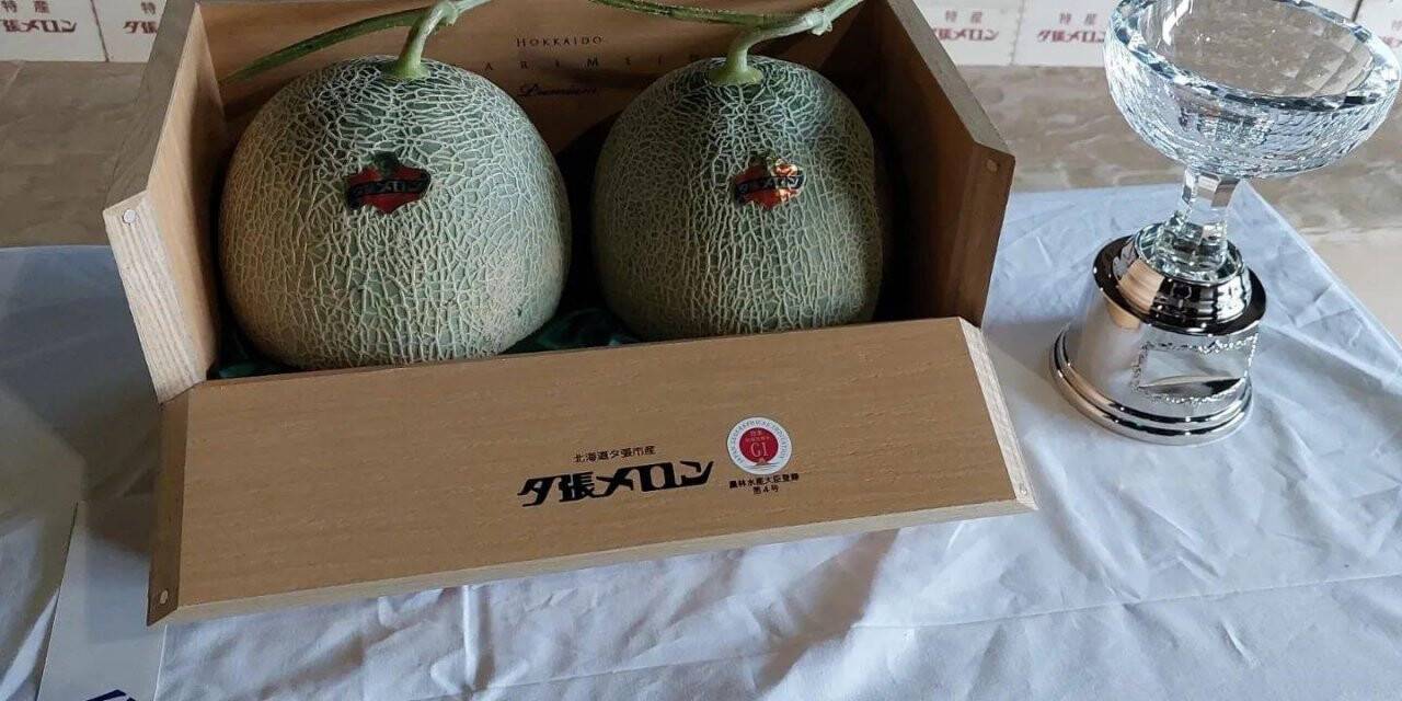 Japonya’daki açık artırmada 2 adet kavun 387 bin liraya satıldı