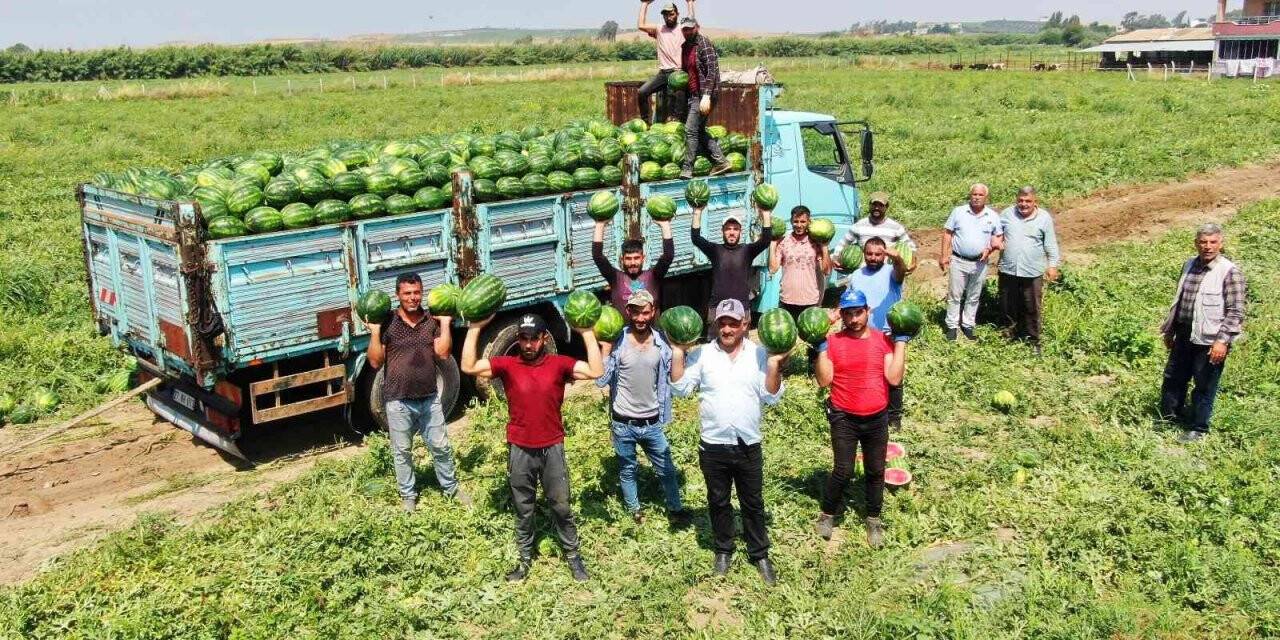 Turfanda karpuzun fiyatı değişmedi