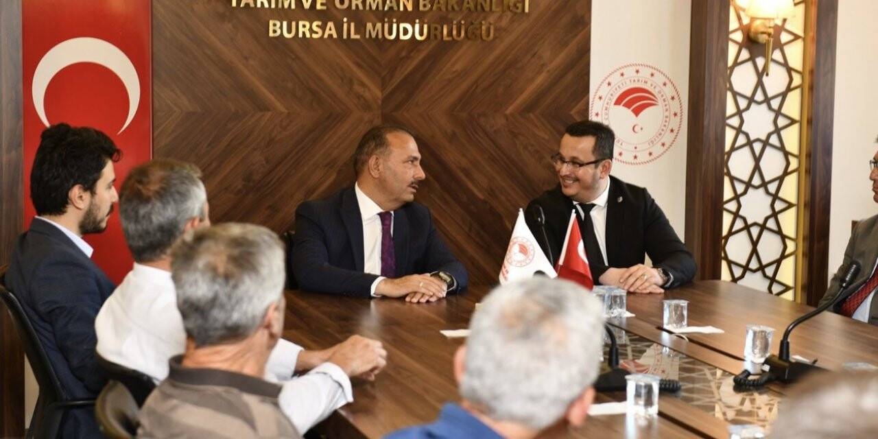 Bursa tarımında aslan payı Mustafakemalpaşalı çiftçilerin