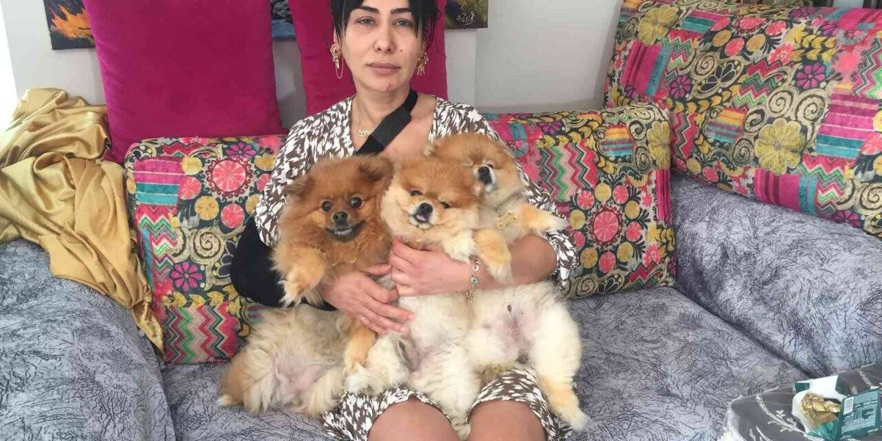 Fide Uyarlar: “Tutuklanmasaydı şimdi benim ölüm haberini yapıyor olacaktınız”