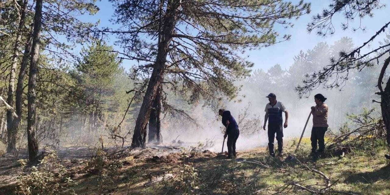 Erken müdahale orman yangınını önledi