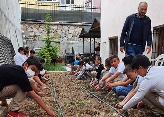 Okul bahçesinde organik tarım projesi