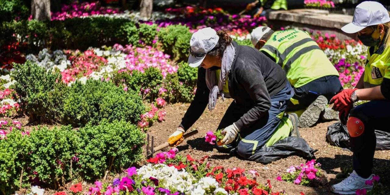 Çiçek gibi bir Başkent