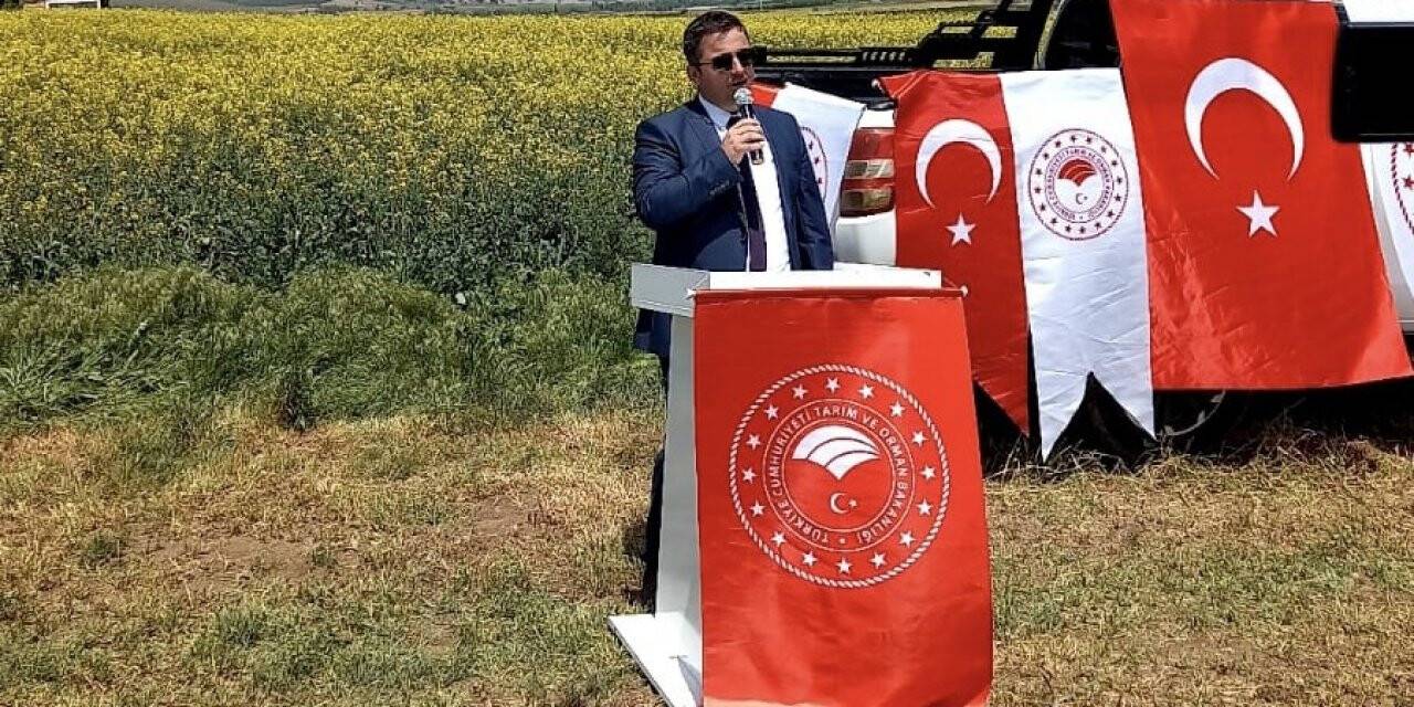 İnönü’de Kanola umut veriyor