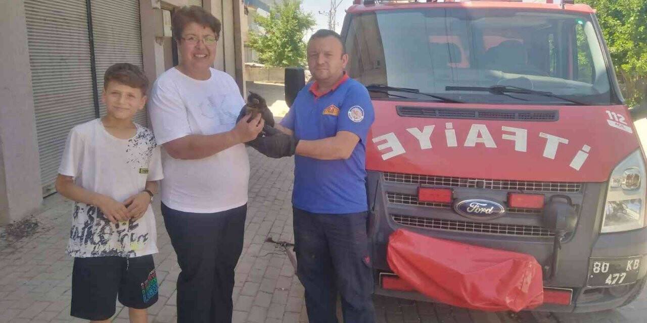 Havalandırma boşluğunda mahsur kalan kediyi itfaiye kurtardı