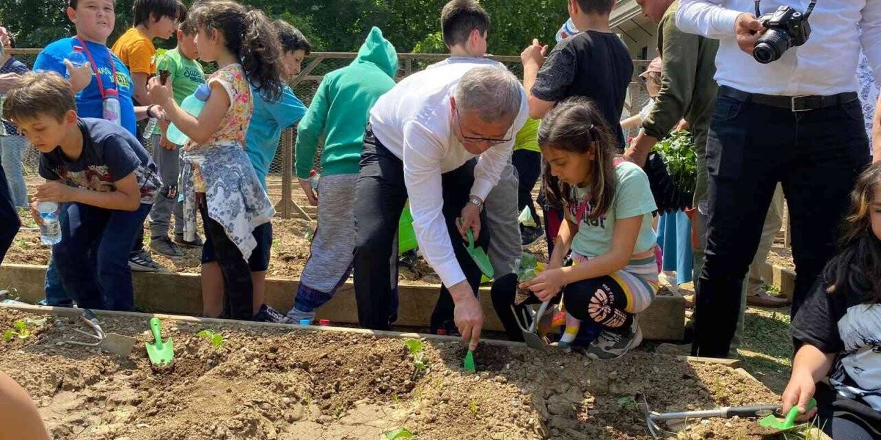 Üsküdar’da fideler toprakla buluştu, ortaya renkli görüntüler çıktı