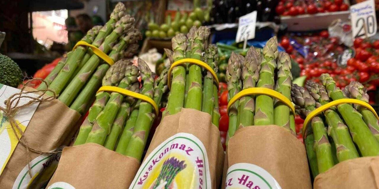 Dış görünüşü ile ilgi çekiyor, hamilelerin ilgi odağı