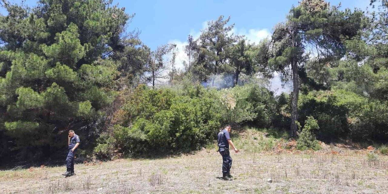 Osmaniye’de orman yangını