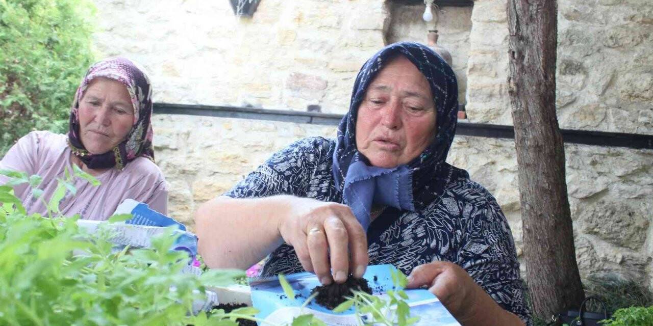 Kırklareli’nde ata tohumdan üretilen fideler dağıtıldı