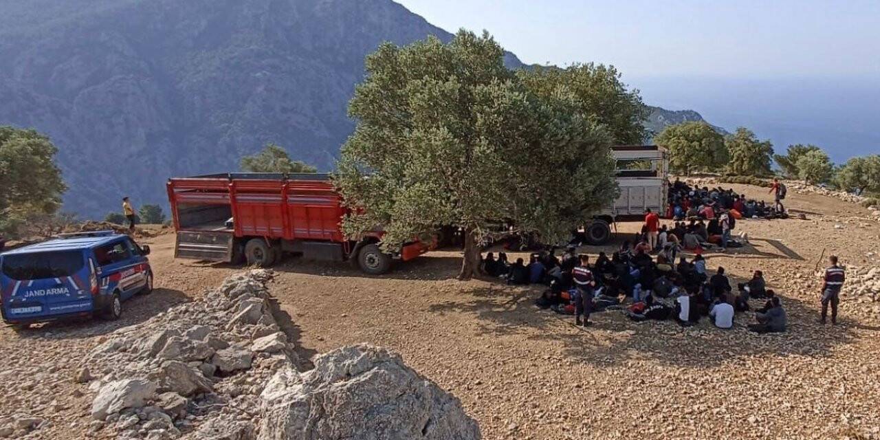 Muğla’da 237 düzensiz göçmen yakalandı