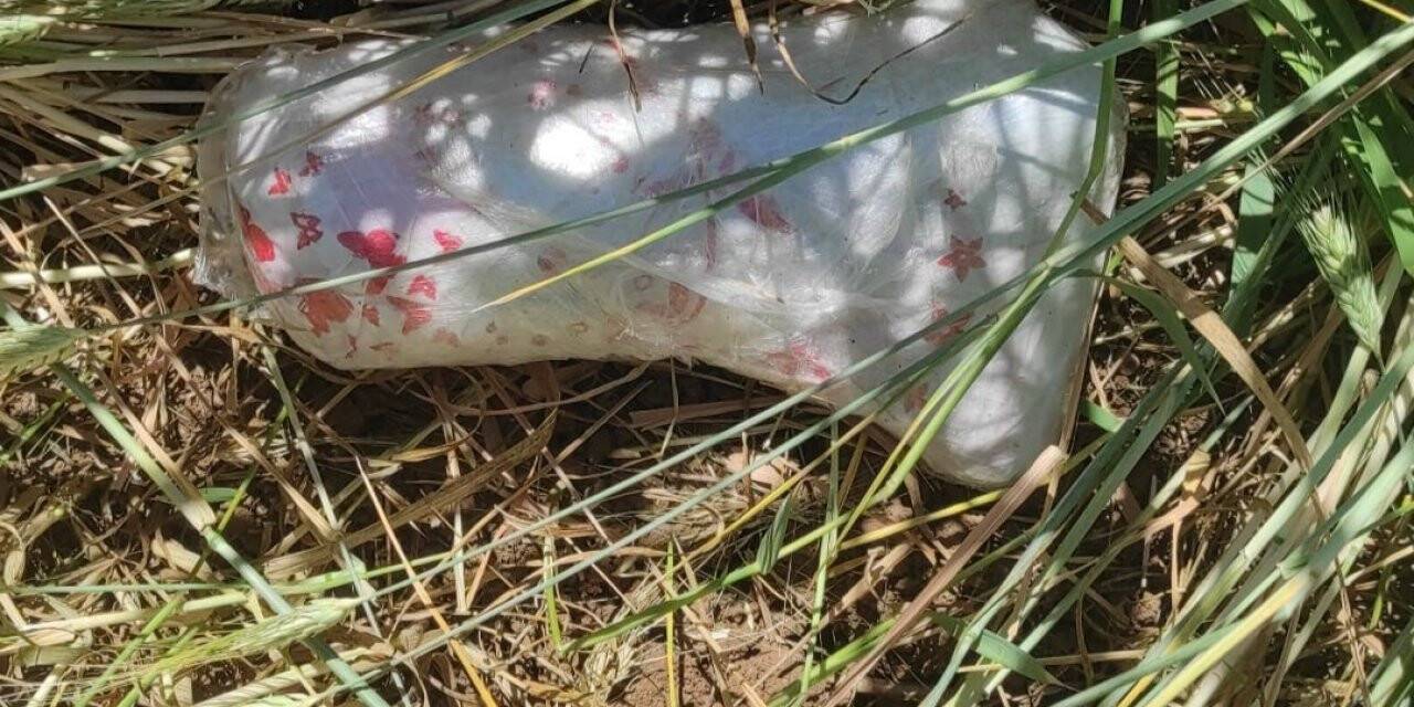 Sınırda Rus menşeili suikast silahı ve mühimmat ele geçirildi